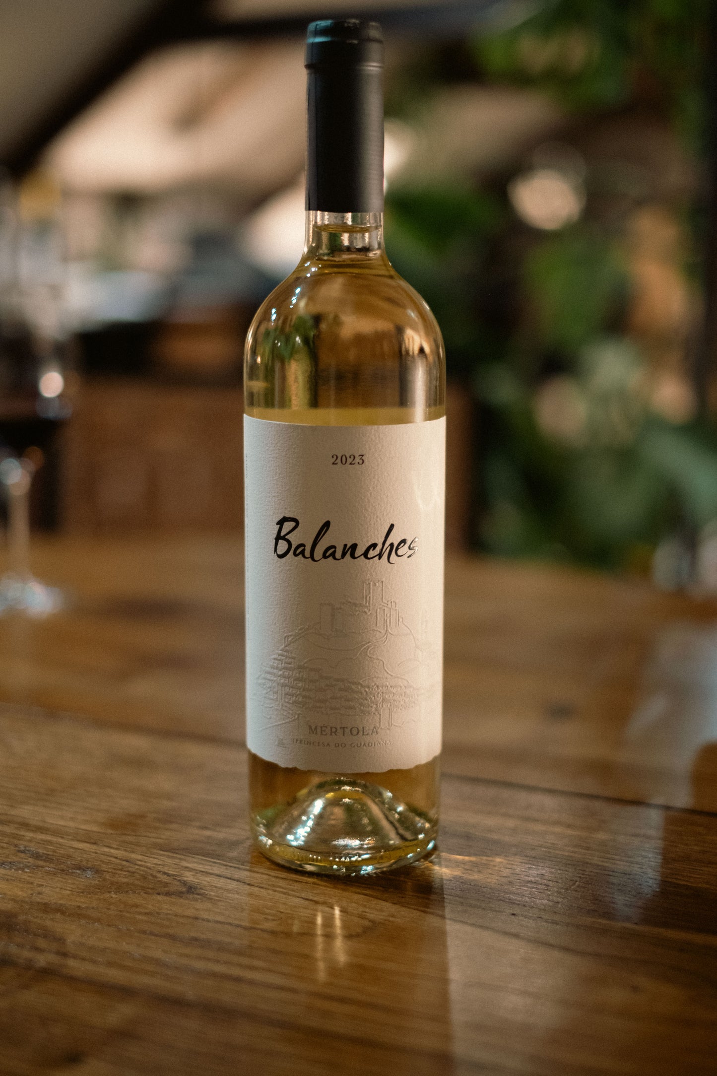 Balanches Branco 2022